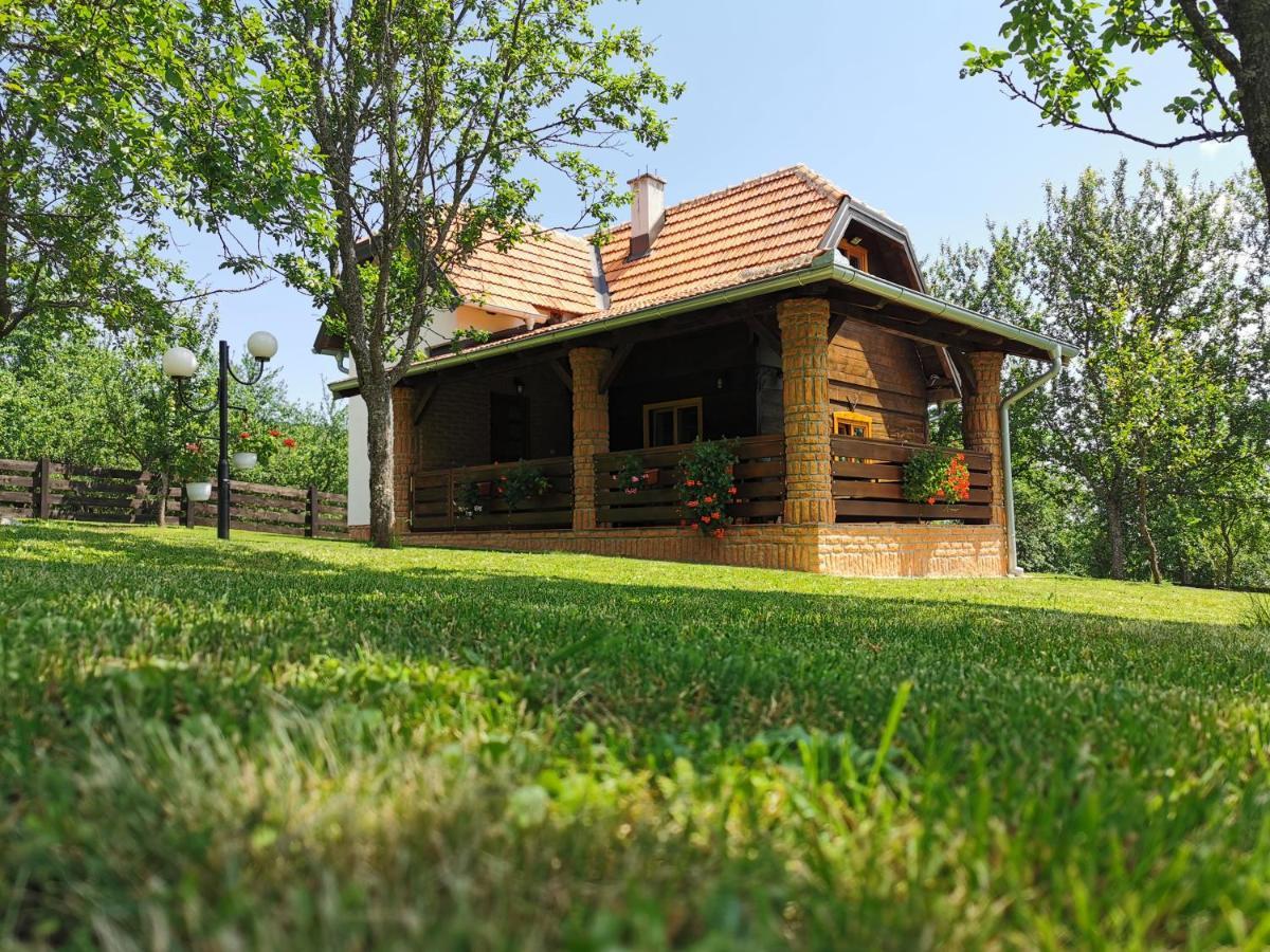 Ferienwohnung Seosko Domacinstvo Bondzulic Užice Exterior foto