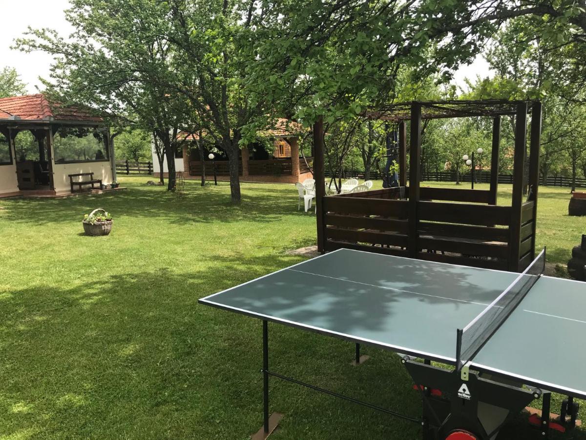 Ferienwohnung Seosko Domacinstvo Bondzulic Užice Exterior foto